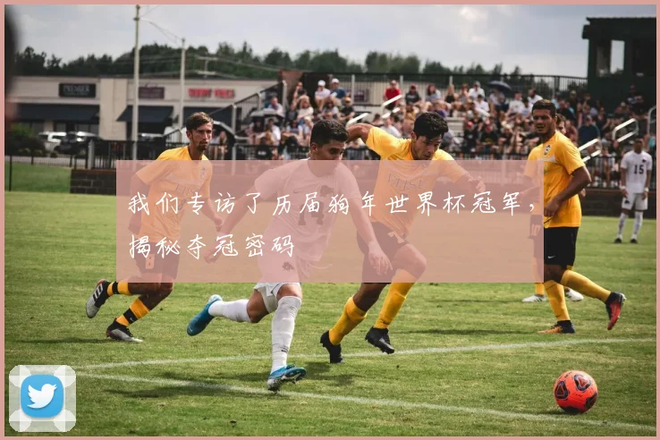 我们专访了历届狗年世界杯冠军，揭秘夺冠密码