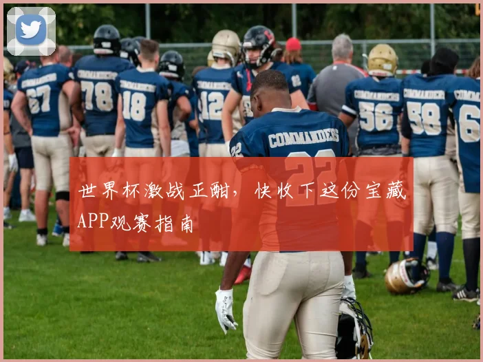 世界杯激战正酣，快收下这份宝藏APP观赛指南