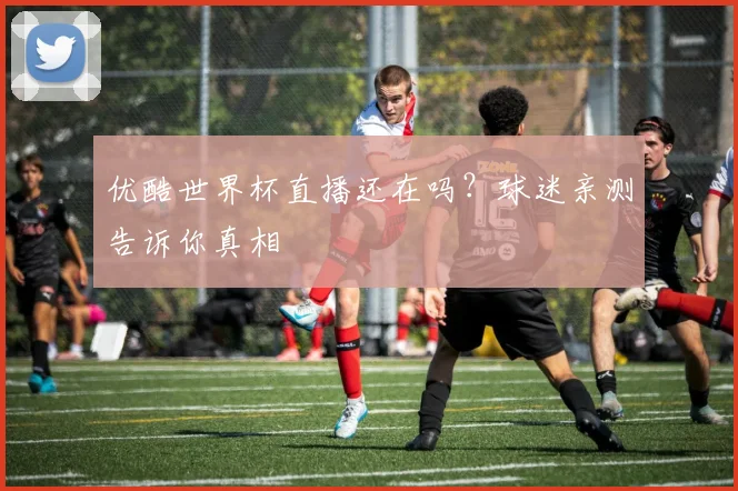 优酷世界杯直播还在吗？球迷亲测告诉你真相