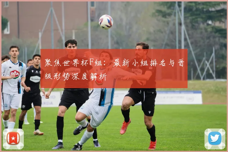 聚焦世界杯F组:最新小组排名与晋级形势深度解析