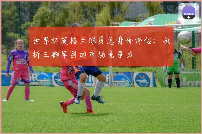 世界杯英格兰球员总身价评估：剖析三狮军团的市场竞争力