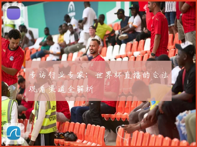 专访行业专家：世界杯直播的合法观看渠道全解析