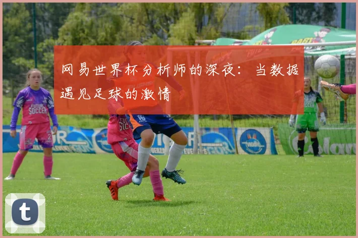 网易世界杯分析师的深夜：当数据遇见足球的激情