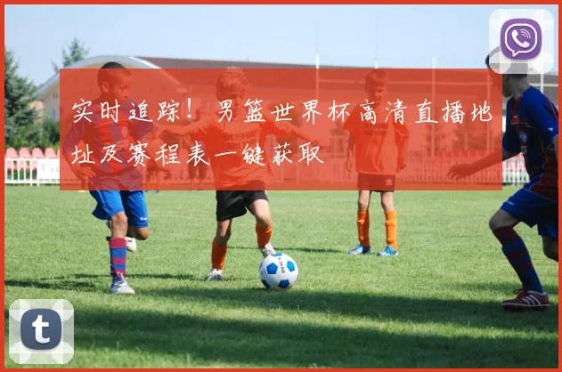 实时追踪！男篮世界杯高清直播地址及赛程表一键获取