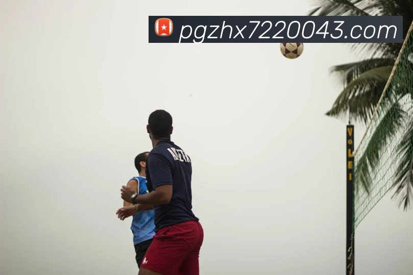 K1体育app官网服务体系